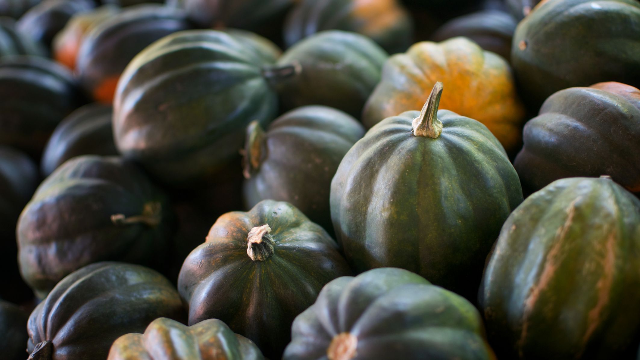 three-sisters-bowl-with-maple-roasted-turkey-mill-city-farmers-market