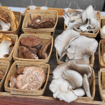Northwood Mushrooms fresh at market
