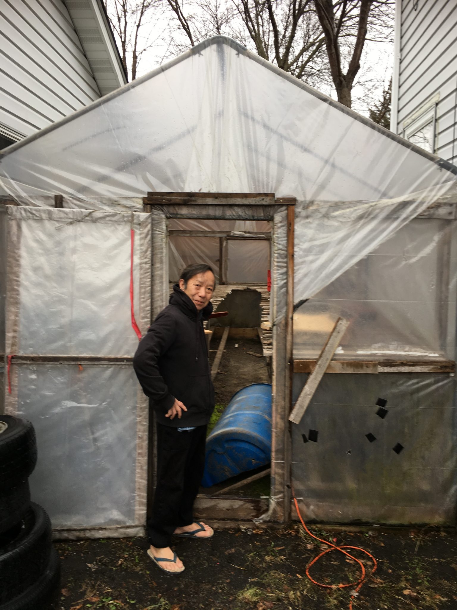 Tongsee Farm Visit Bean Market Greenhouse