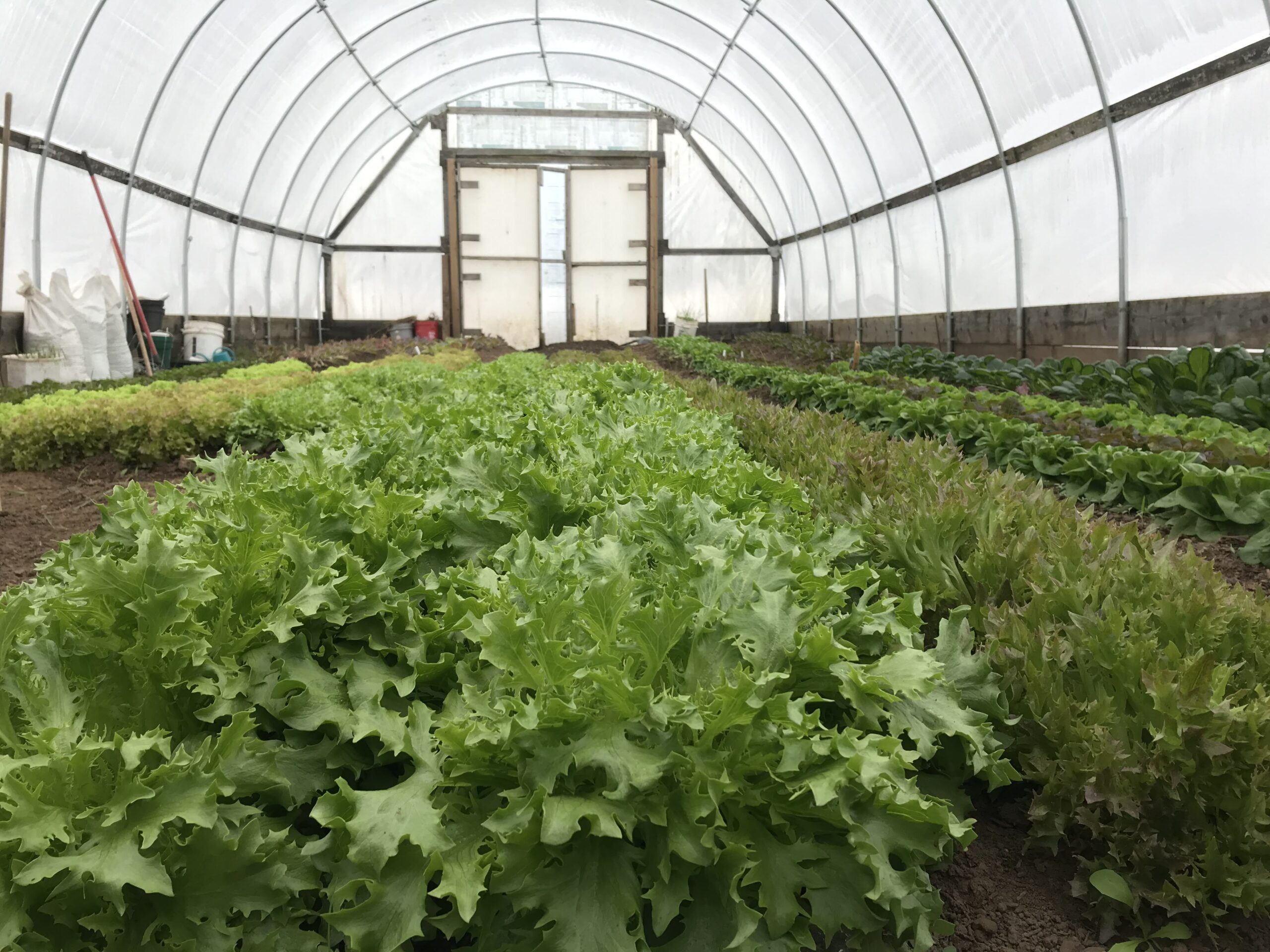 Nolts Greenhouse Supplies – Sustainable Market Farming