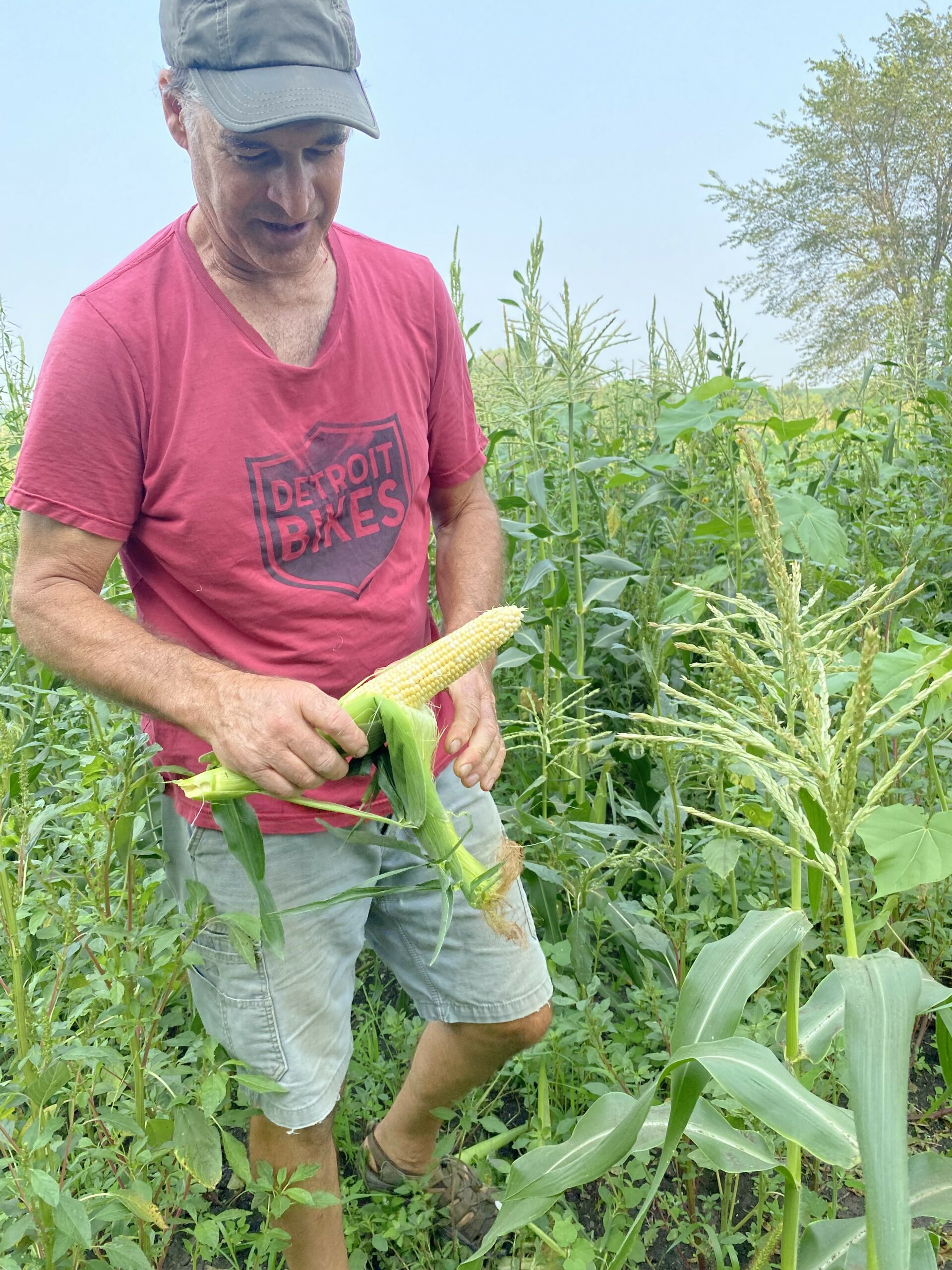 Jeff Sweet Corn Nistler Farms