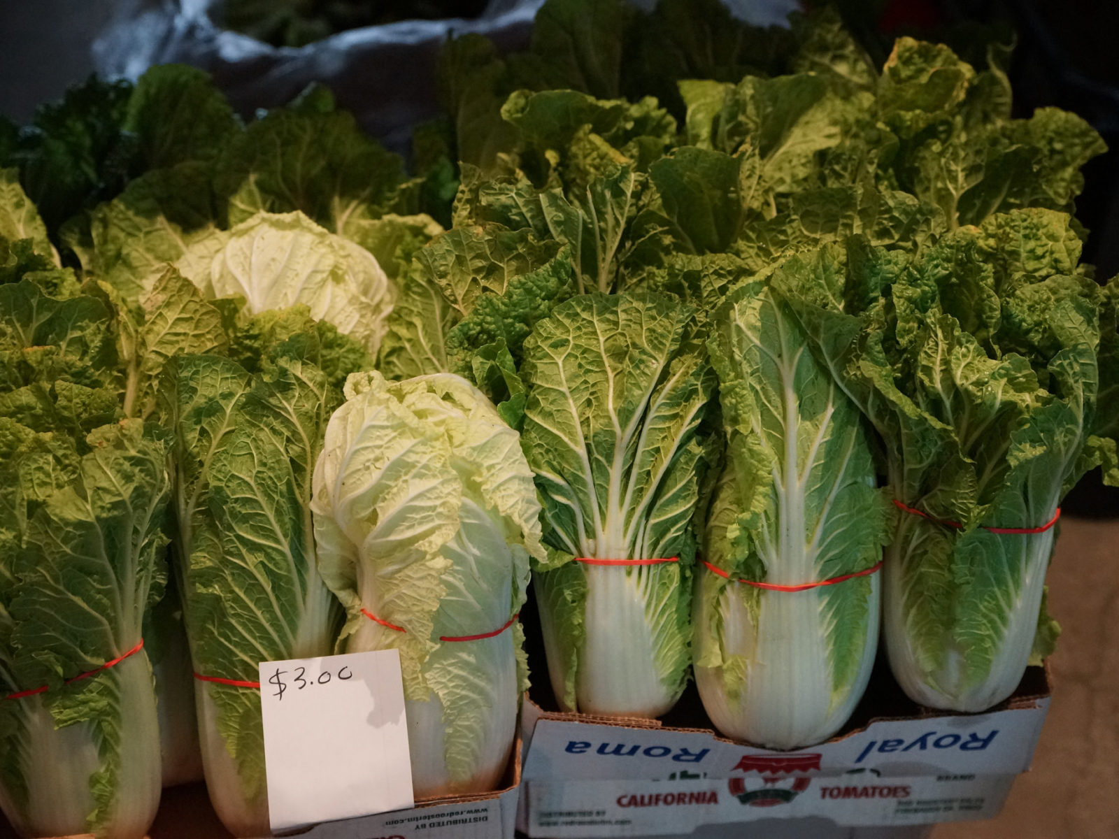 Napa Cabbage Mill City Farmers Market