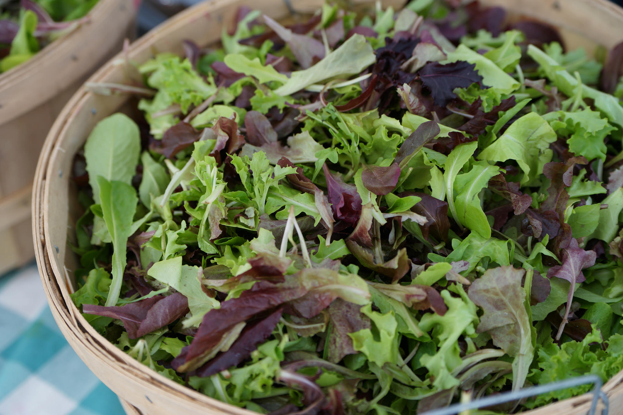 Salad Secrets of the Market