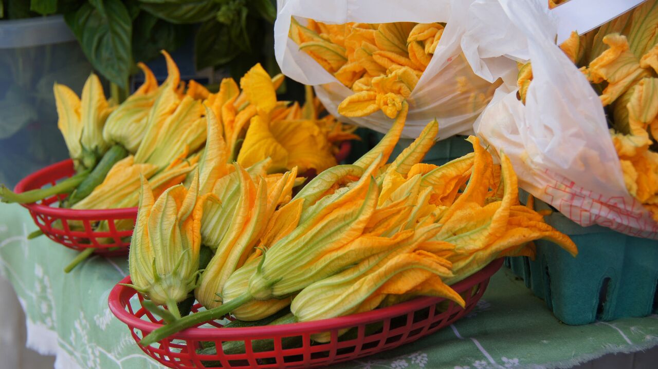 Squash Blossoms with Lamb & Cucumber Raita - Mill City Farmers Market