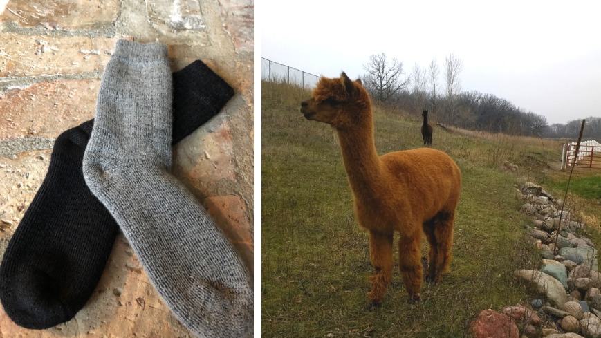 The Abbey Socks 2020 Gift guide