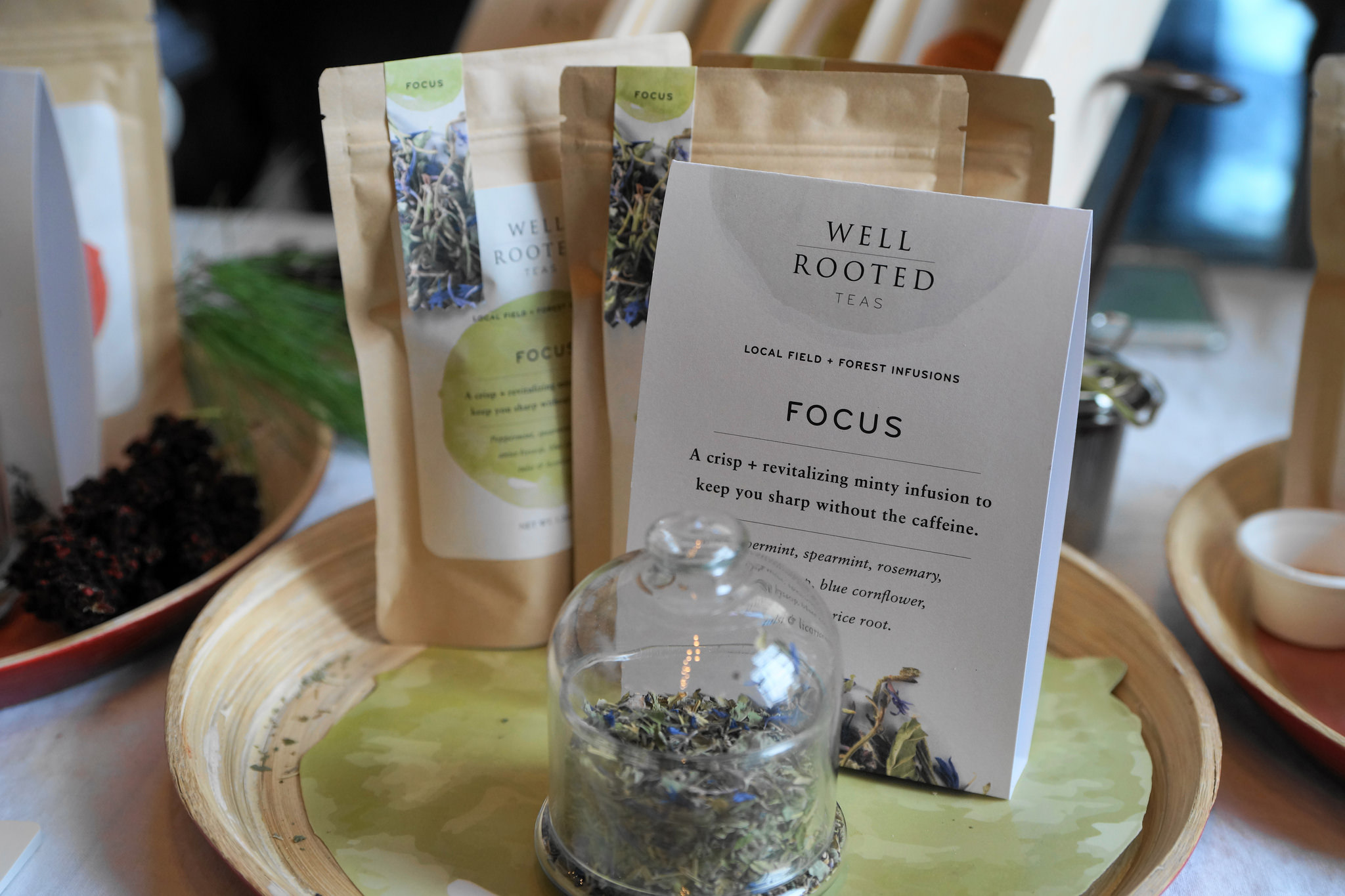 Well Rooted Gift Guide