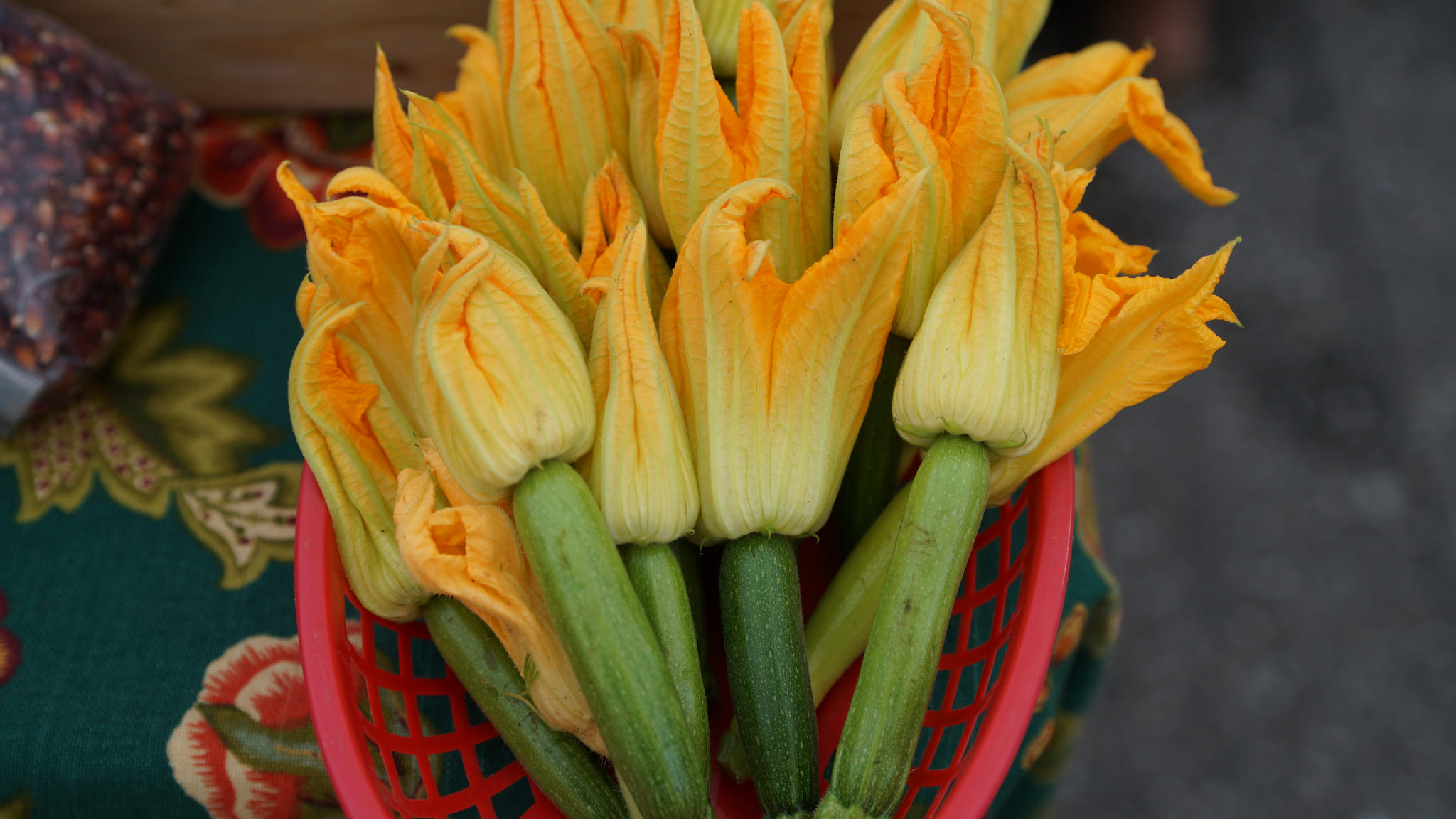 Zucchini squash blossoms