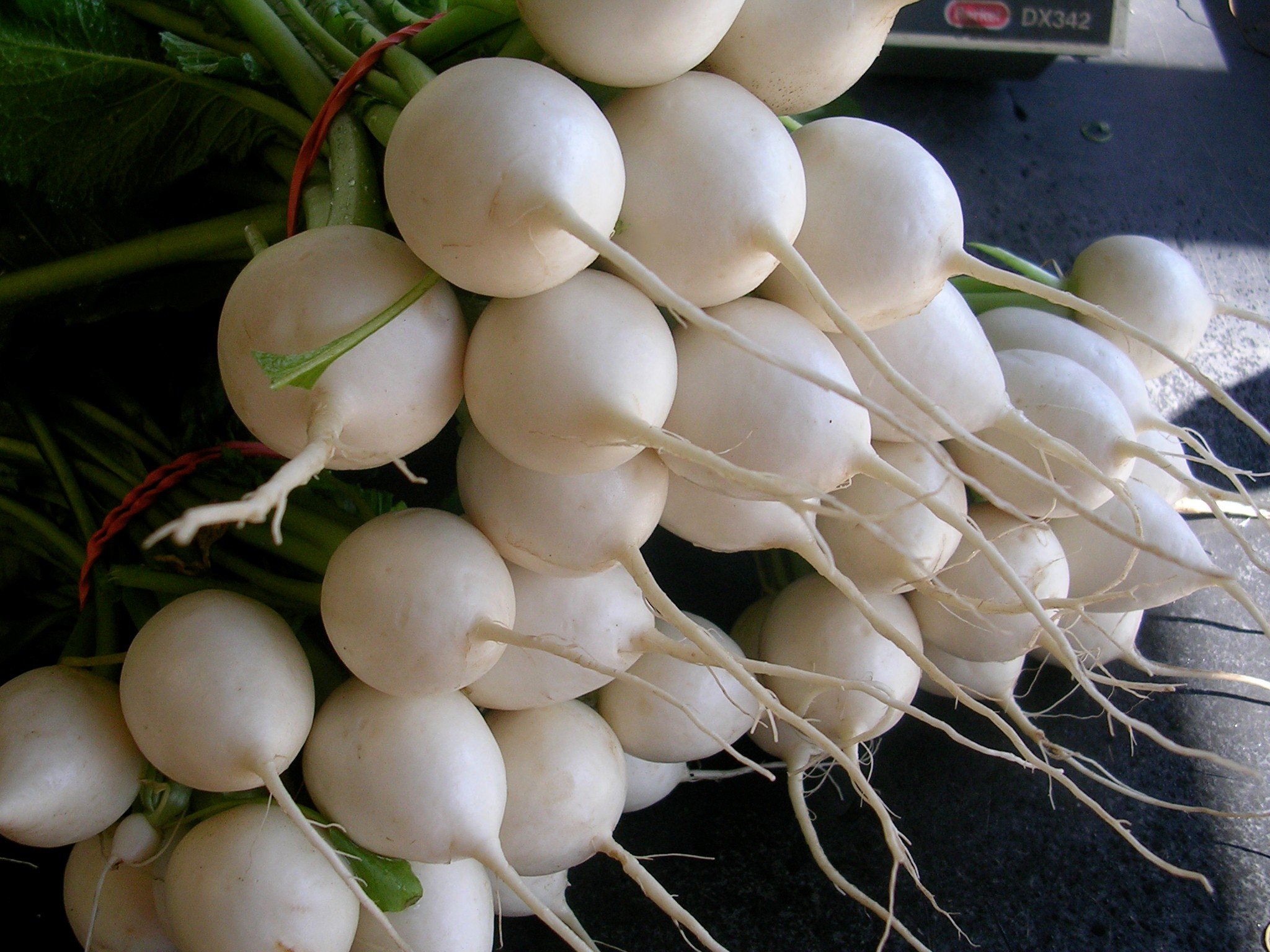 Japanese Pickled Turnips Recipe Mill City Farmers Market