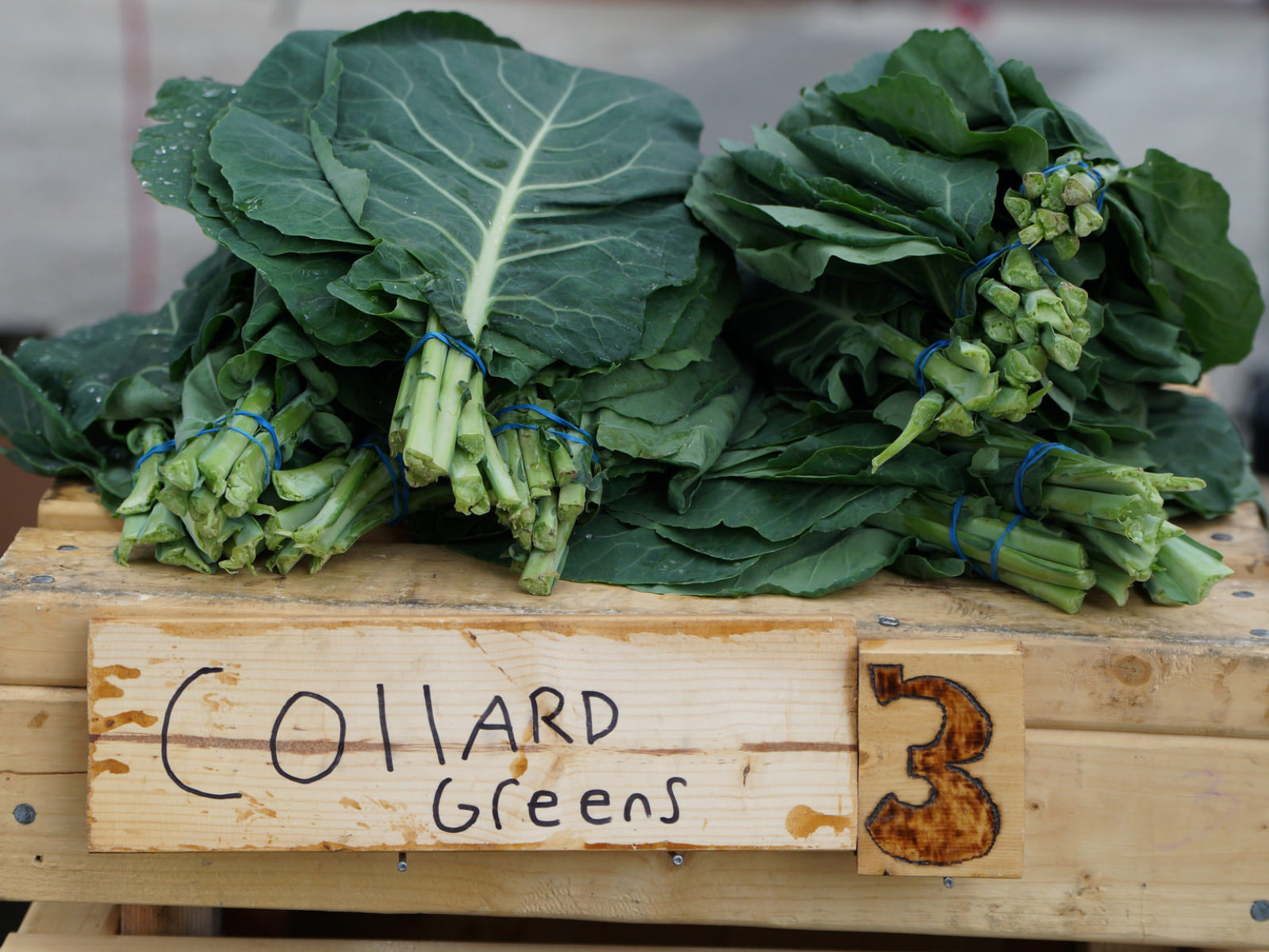 collard greens Mill City Farmers Market