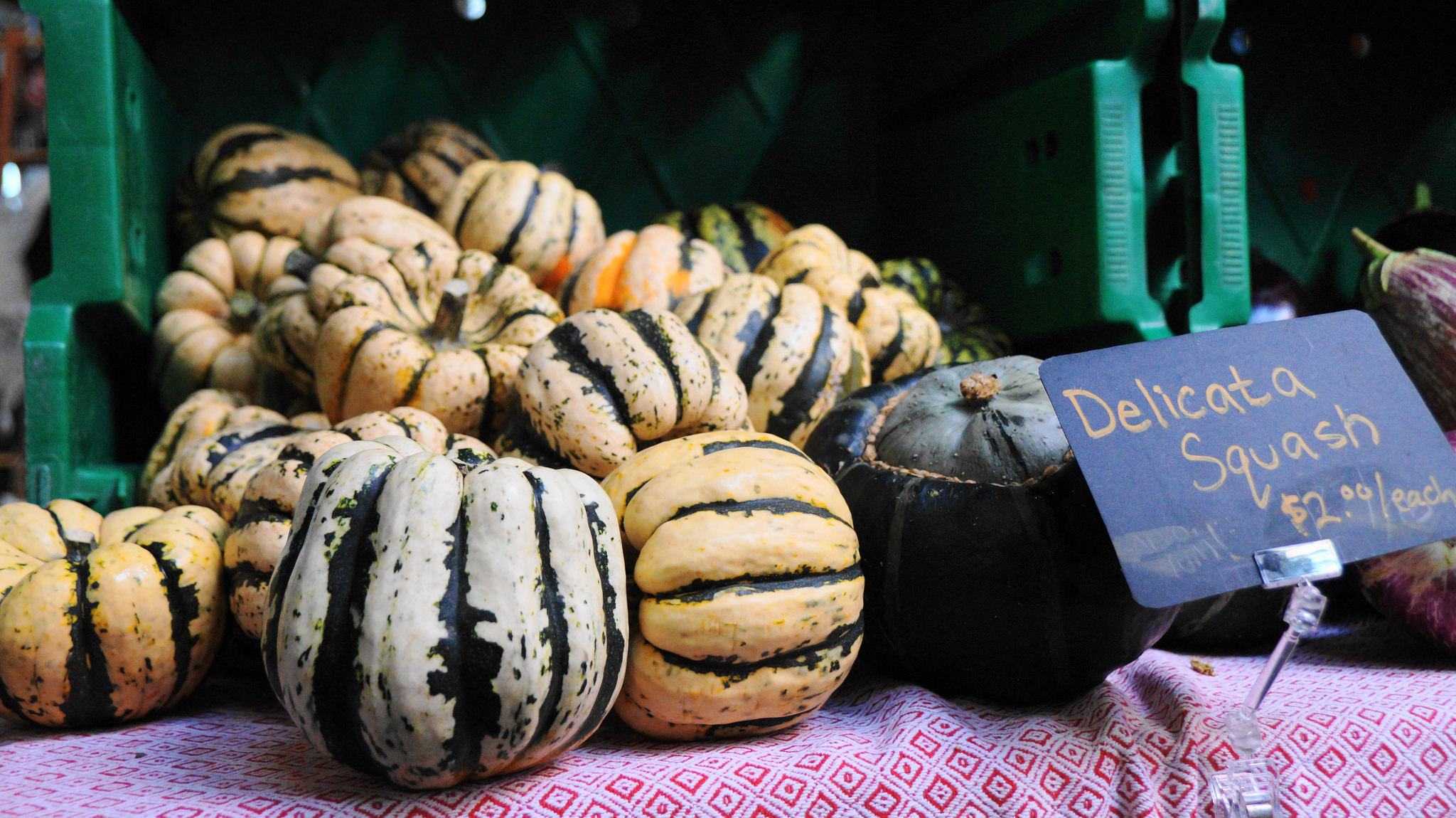 Delicata Squash Mill City Farmers Market