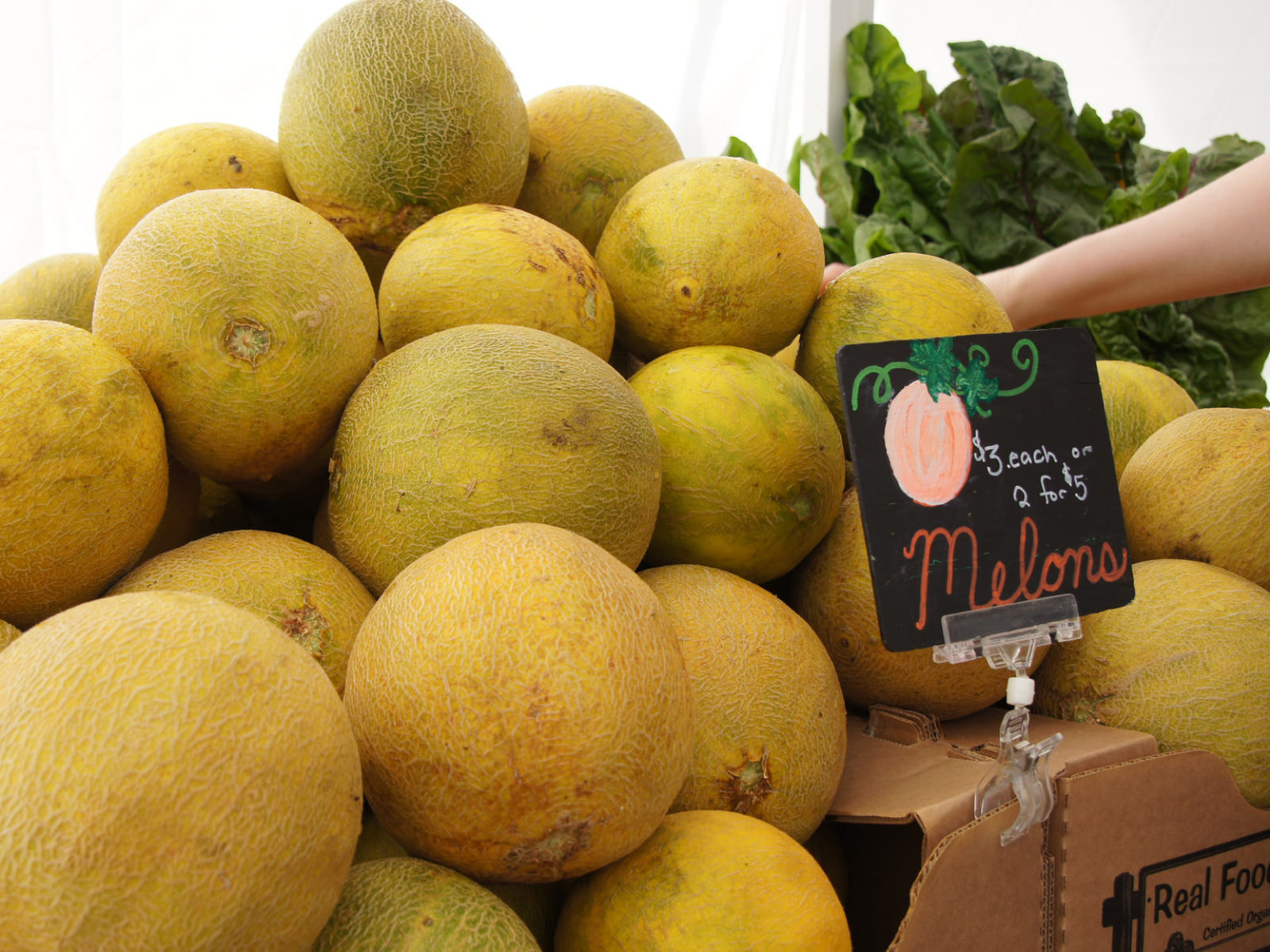 watermelon-mill-city-farmers-market