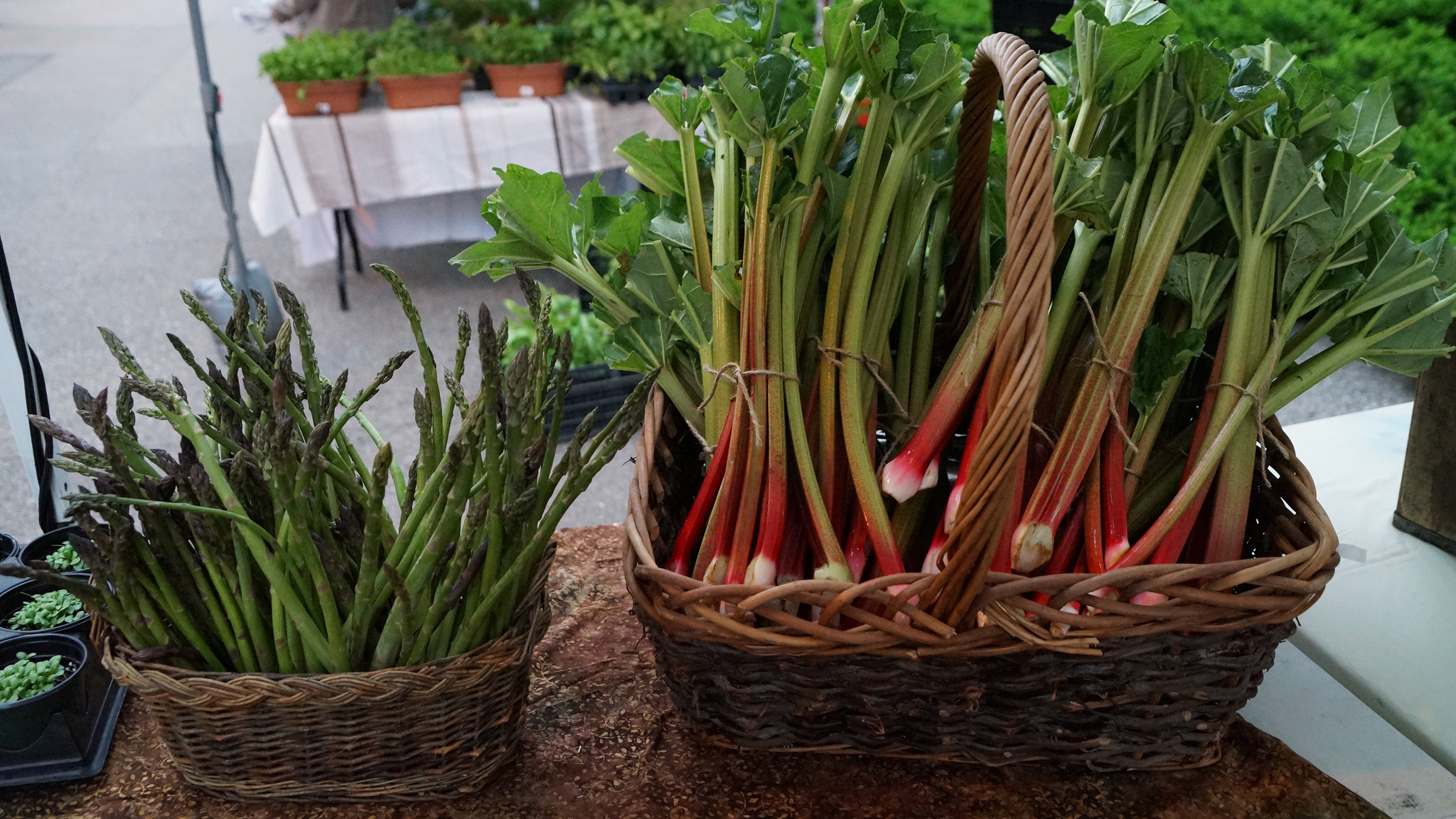 rhubarb and asparagus