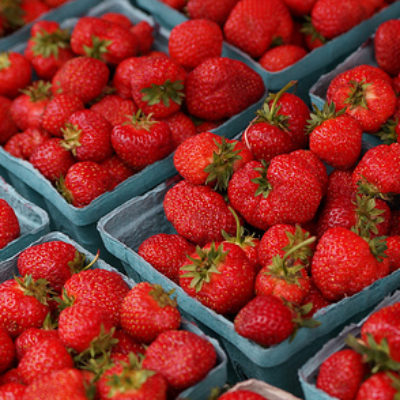 strawberries Twin Cities Berry Company